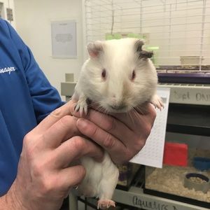 Meet your Posher, Tim